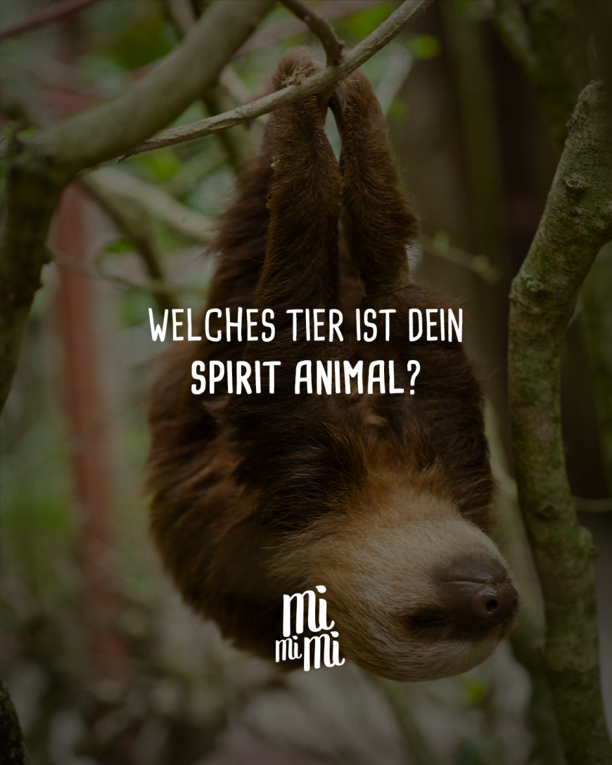 Welches Tier ist dein Spirit Animal?