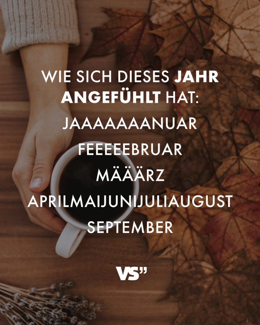 Wie sich dieses Jahr angefühlt hat: Jaaaaaaanuar Feeeeebruar Määärz AprilMaiJuniJuliAugust September